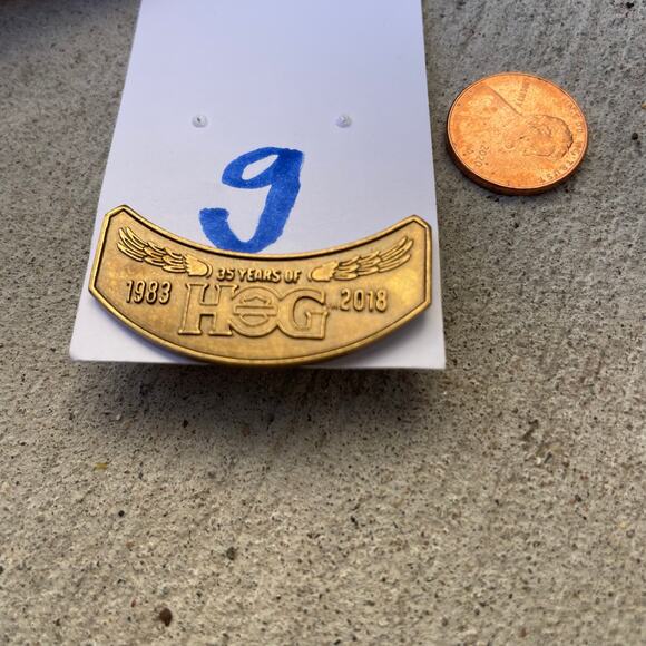 35 Year Anniversary Harley Davidson Hog Lapel Pin 2018 - Picture 10 of 10